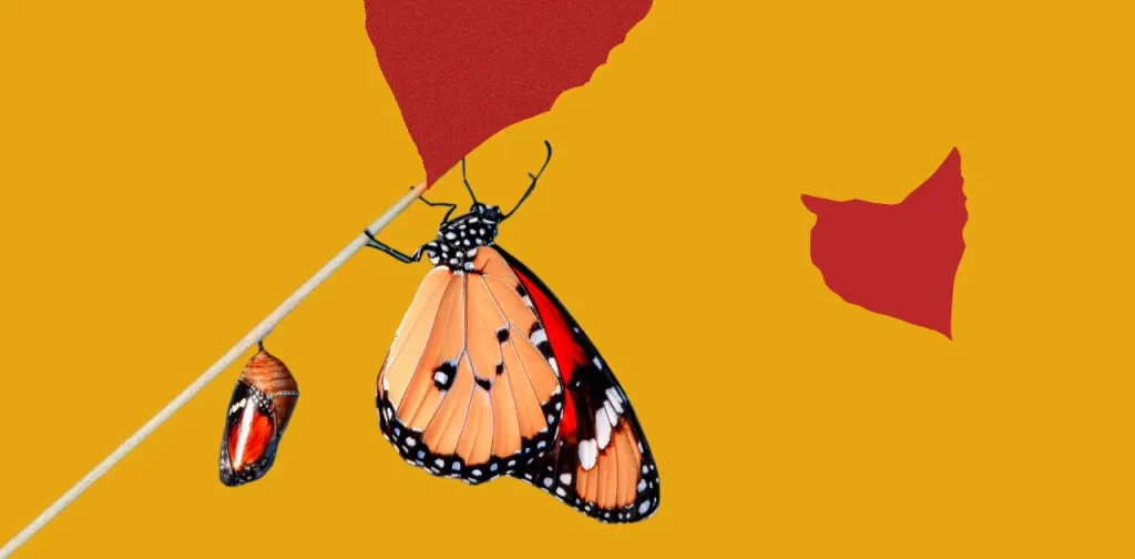 Accepter sa vulnérabilité comme qui est fragile lorsqu’il quitte sa chrysalide